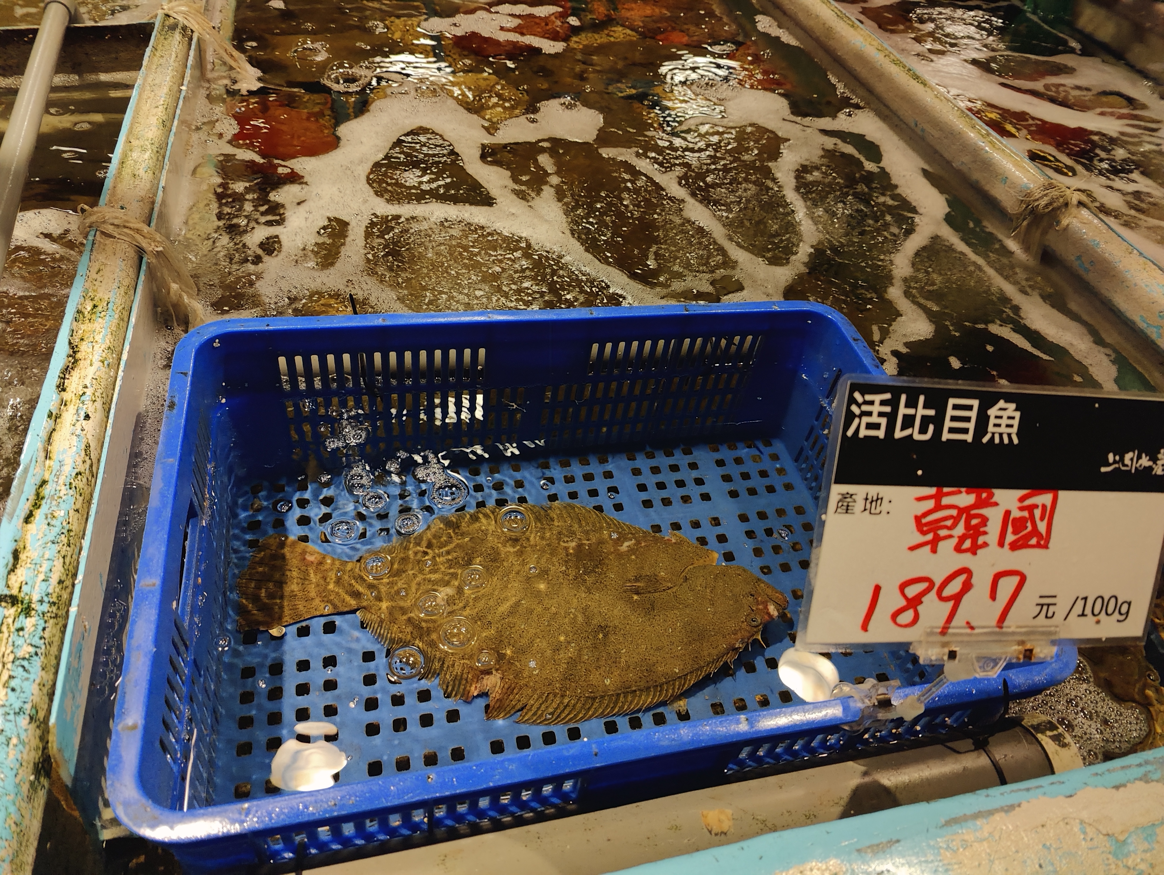 Marché aux poissons 11