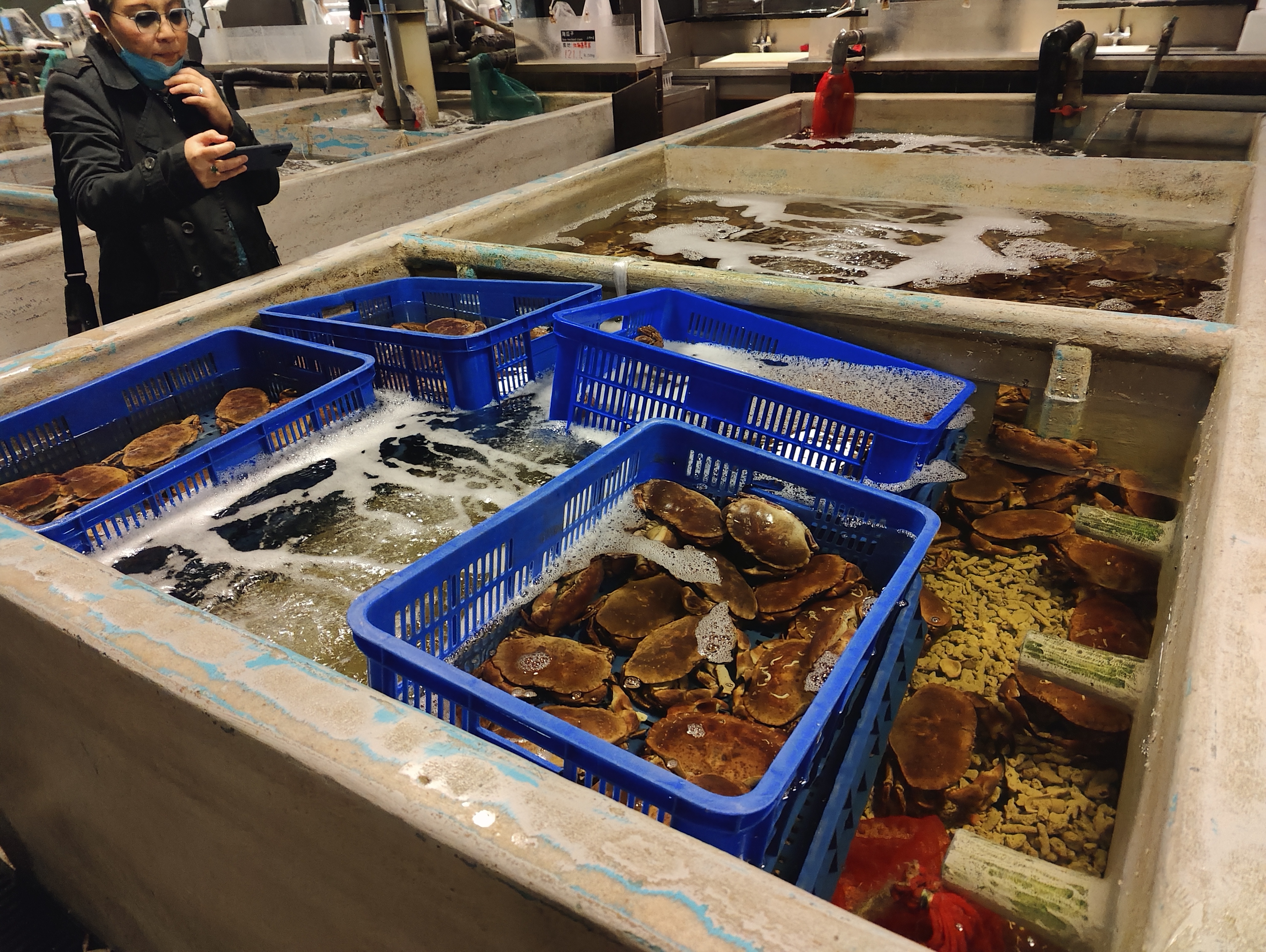 Marché aux poissons 14