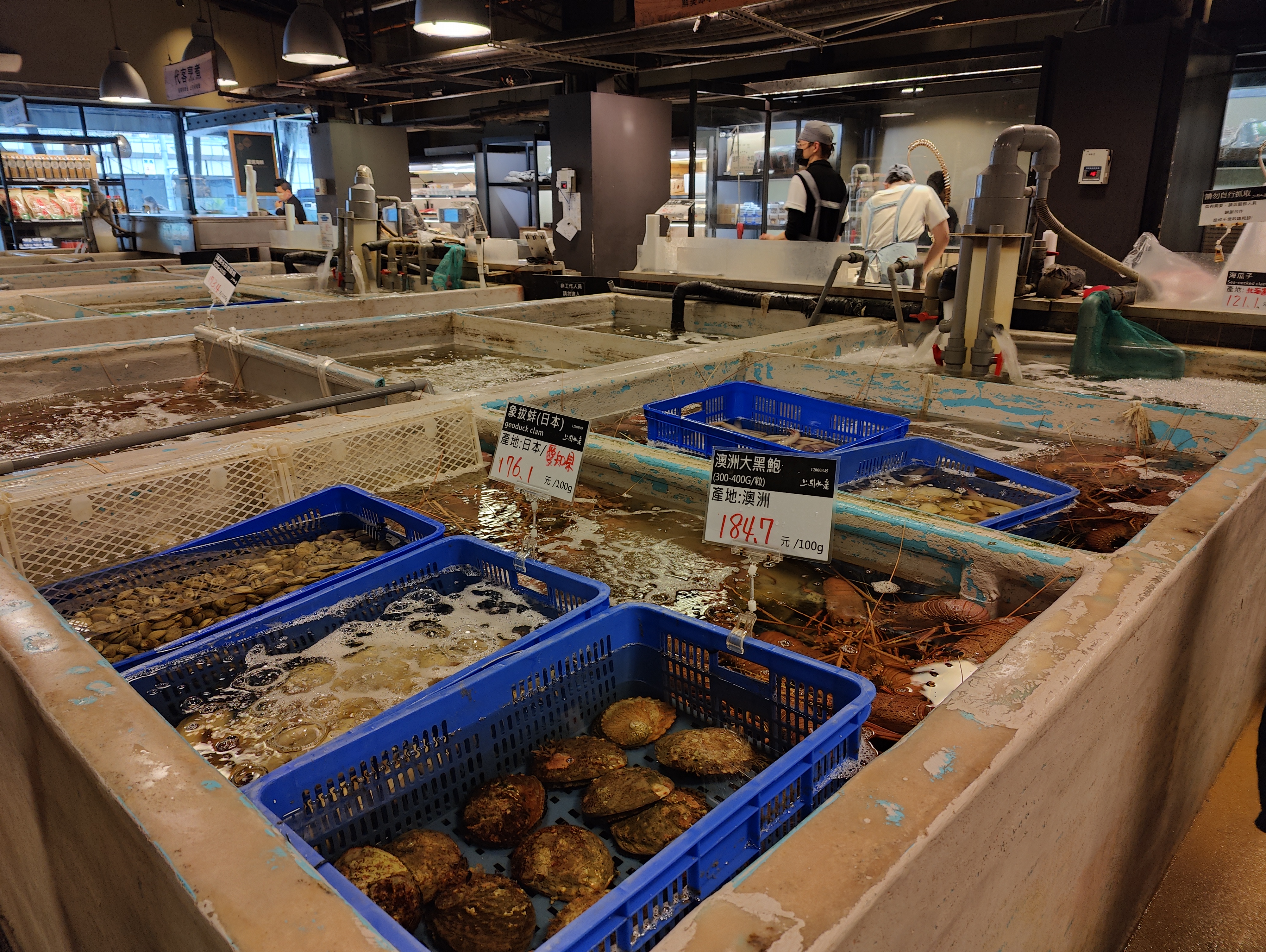 Marché aux poissons 15