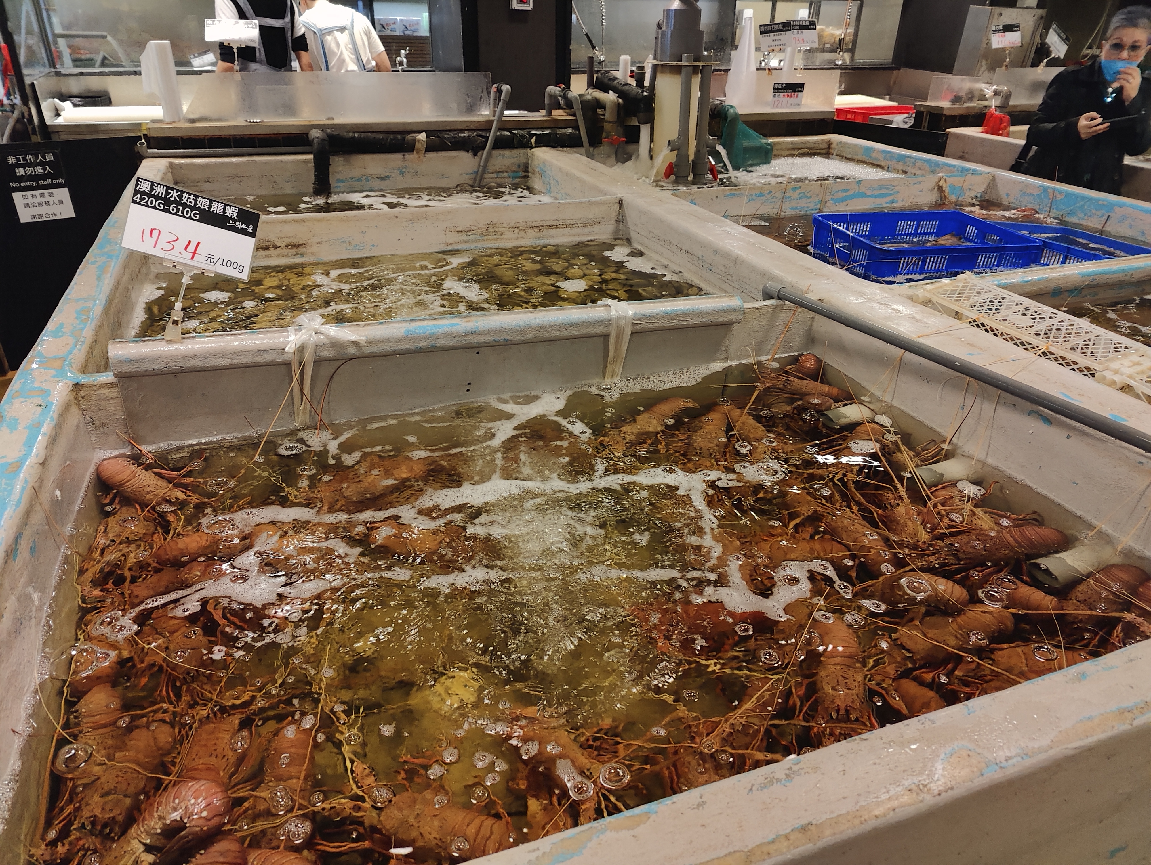 Marché aux poissons 16