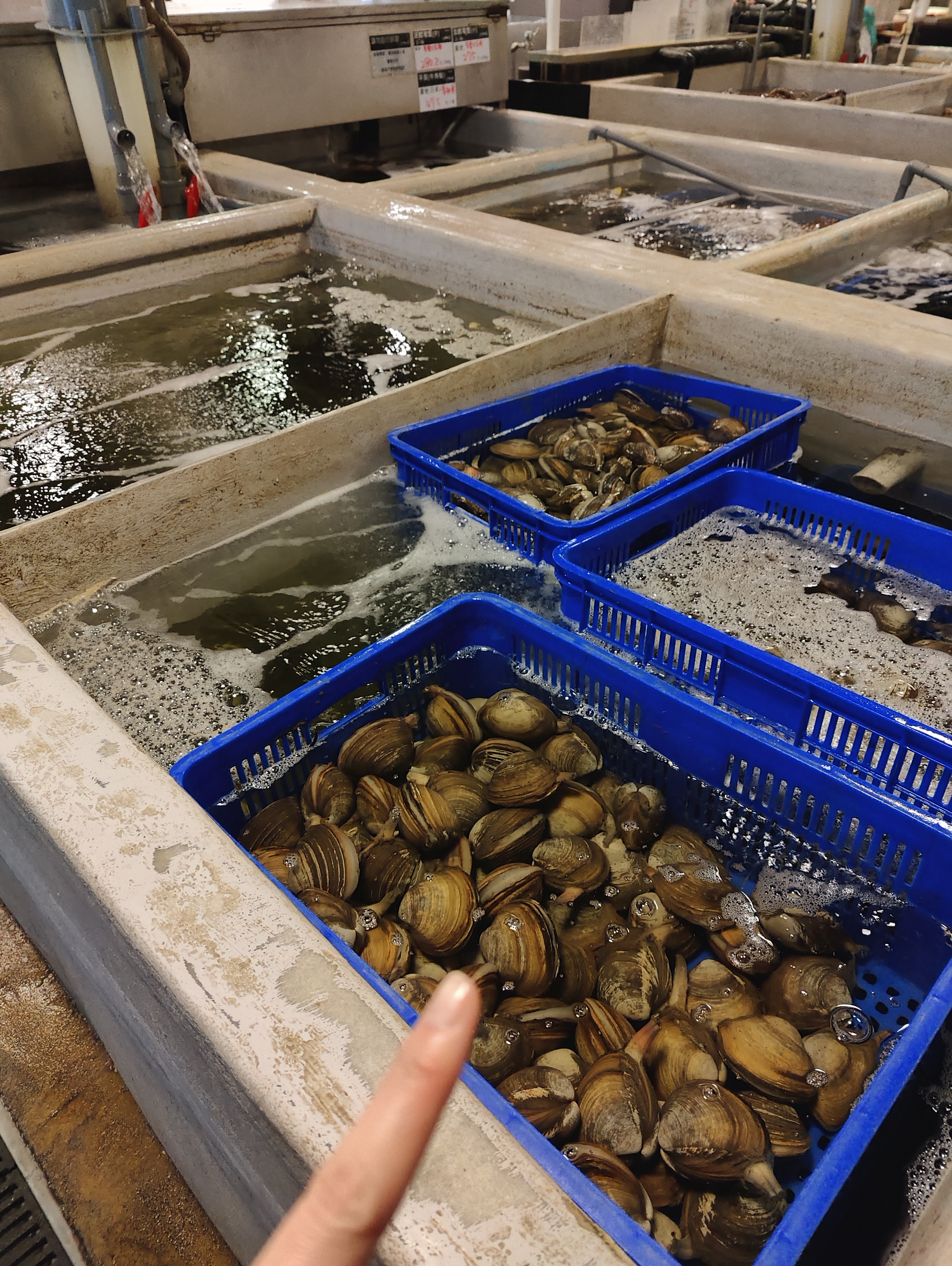 Marché aux poissons 8